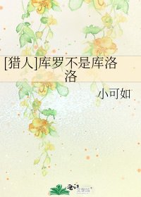 [猎人]库罗不是库洛洛